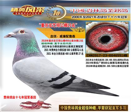 ĸ����������蹫��13��