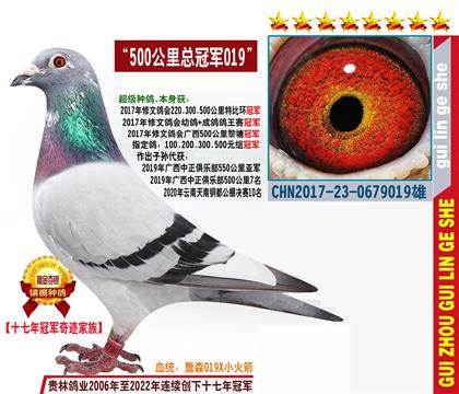 ȫ�֣�500����ھ�