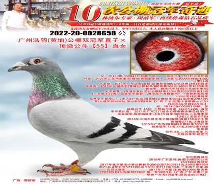 ���ݺ��𣨻��ң�����˫�ھ�ֱ�ӡ�������ţ��55��ֱŮ