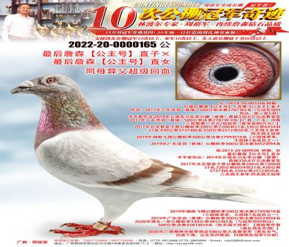���ղɭ�������š�ֱ�ӡ����ղɭ�������š�ֱŮ