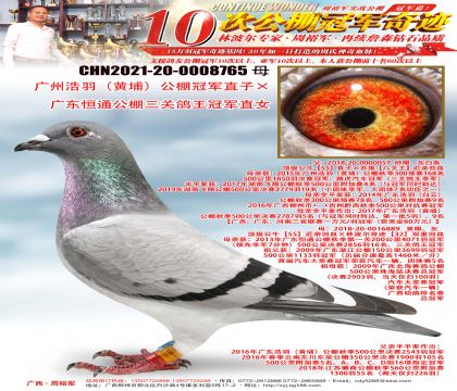 ���ݺ��𣨻��ң�����ھ�ֱ�ӡ��㶫��ͨ�������ظ����ھ�ֱŮ