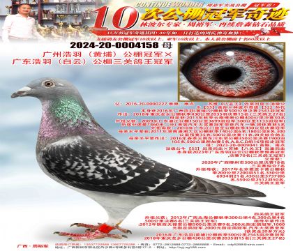���ݺ��𣨻��ң�����ھ����㶫���𣨰��ƣ��������ظ����ھ�