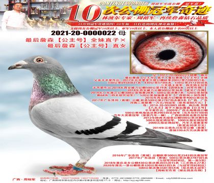 ���ղɭ�������š�ȫ��ֱ�ӡ����ղɭ�������š�ֱŮ
