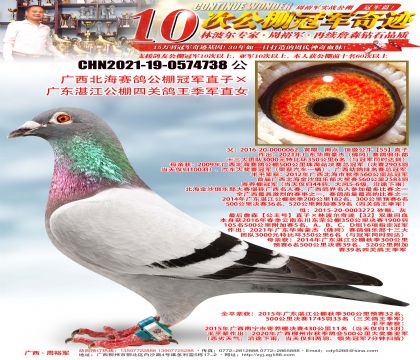 �����������빫��ھ�ֱ�ӡ��㶫տ�������Ĺظ�������ֱŮ