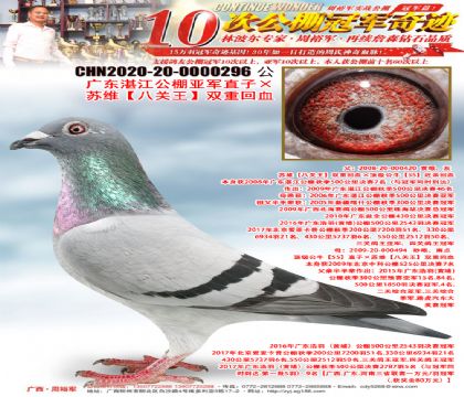 �㶫տ�������Ǿ�ֱ�ӡ���ά���˹�����˫�ػ�Ѫ