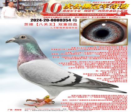 ��ά���˹�����˫�ػ�Ѫ