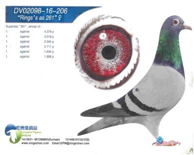261����Ů