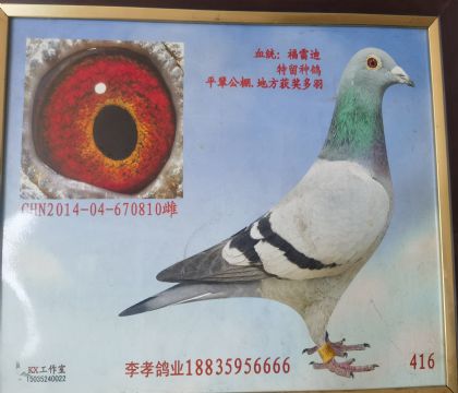 ĸ��
