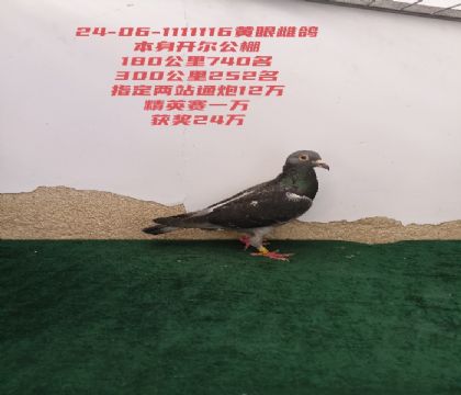 �������ٹ���252�����ٹ���740��