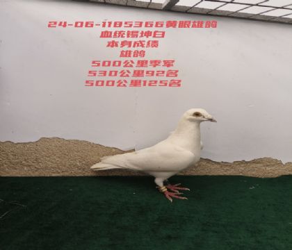 500���＾��530����92��
