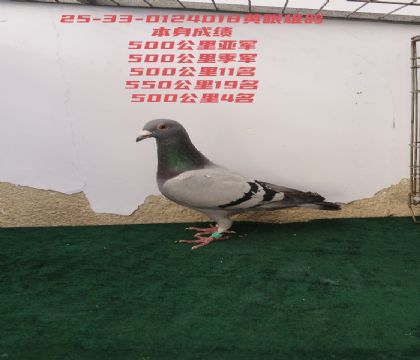 ��ٹ����Ǿ���������4��
