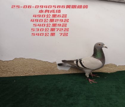 ��ٹ���6��7��9��29��72��