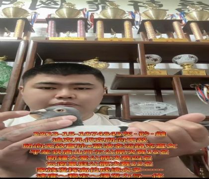����ӮǮ�����������������޵�ֱ��X�����Ҹ�·��ֱŮ