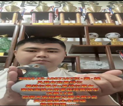 �ƹ������ѡ�����ǲ��ˡ����ض���ֱ��X�����ض���ֱŮ
