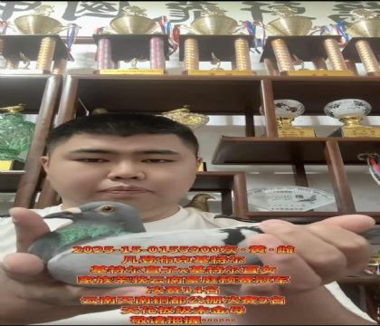 �ƹ������ѡ�����ǲ��ˡ����ض���ֱ��X�����ض���ֱŮ
