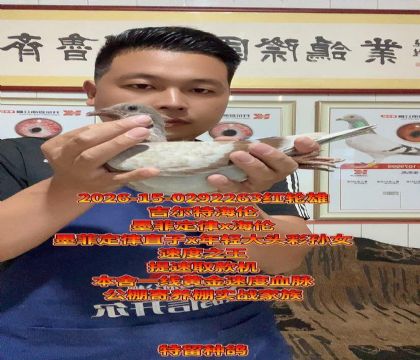 ī�ƶ���x�����غ��״�ͷ����Ů��������ѡ