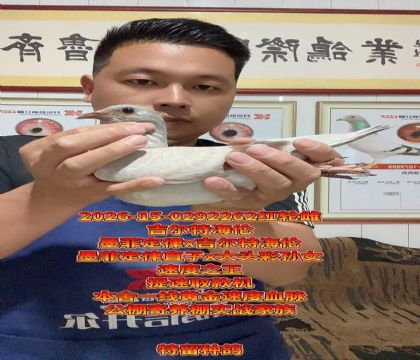 ī�ƶ���x�����غ��״�ͷ����Ů��������ѡ
