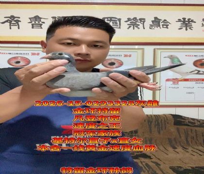 ���ǲ��ˣ����ض�ֱ��xֱŮ���������ָ�