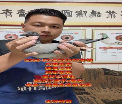 ���ǲ��ˣ����ض�ֱ��xֱŮ��Ѫ��������