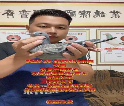 ���ٷ�����������ӥֱ��xֱŮ���߼�