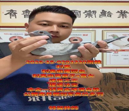 ���ٷ�����������ӥֱ��xֱŮ���߼�����