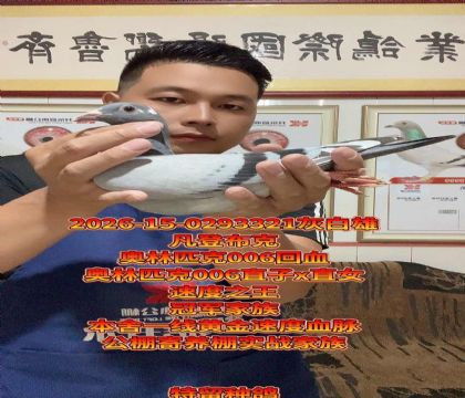 ����ƥ��006��Ѫ���߼���������