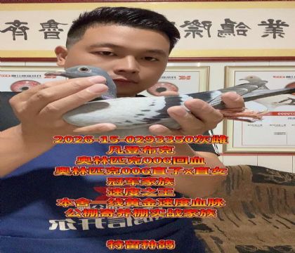 �߼���ĸ������ƥ��006ֱ��xֱŮ