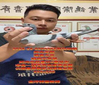����һ���컨��Ѫ���������޵У�������