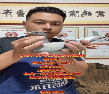 �ٶ���������ɣ��ʿ��һ��ʿ���ٶȽ�ĸ