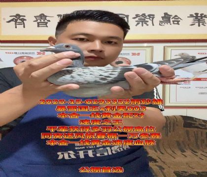 ������ѡ����ѩ����x����003������