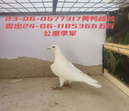 ��ٹ��＾��ĸ��
