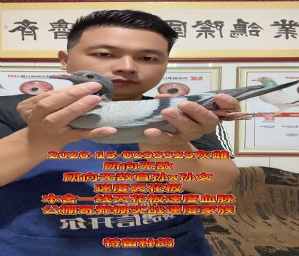 ����һ���컨��Ѫ���������޵л�Ѫ��ĸ