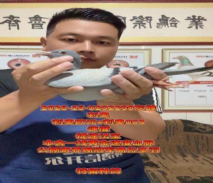 ���ٷ���������ŷԪֱ��x����003��Ů