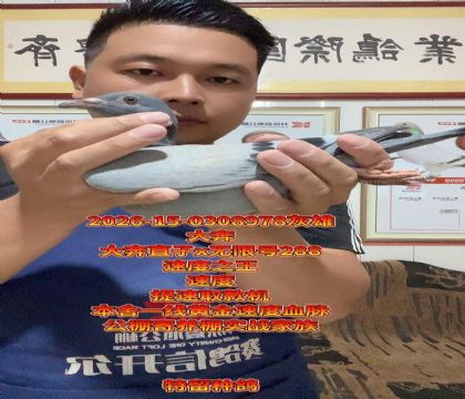��x���޺�288�����������߼�����