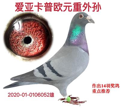 ���ǿ���ŷԪ������