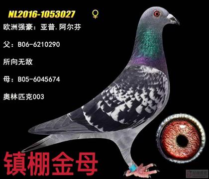 ���޵ڶ��� �����޵�ֱ�������ƥ��003����Ů
