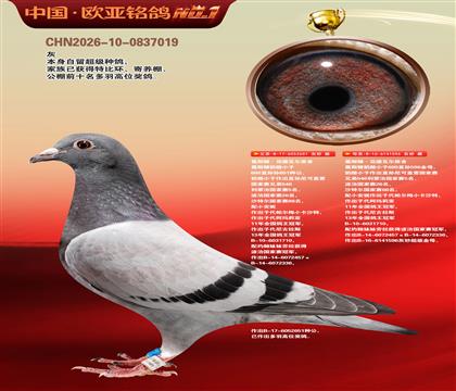 ��˹������651X596����
