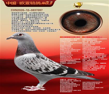 NPOȫ�����Ǿ�515X����KBDB����17ֱŮ872