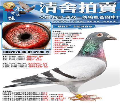 500����24�������ض�006��ֱ���������ƥ��003��ֱ��