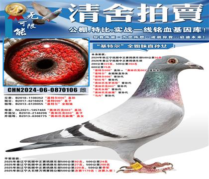 600����75�� �����ض�006��ֱ�������ƥ��003��ֱ