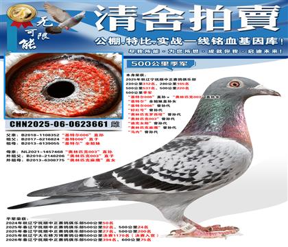 500���＾�� �����ض�006��ֱ���������ƥ��003��ֱ��