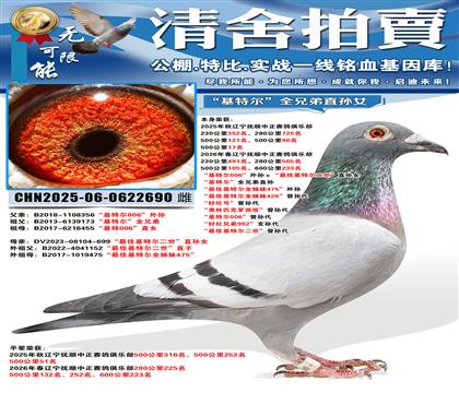 500����17�������ض�006�����������ѻ��ض�������ֱ��