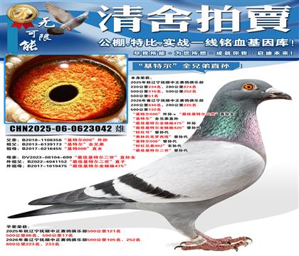 500����51�������ض�006�����������ѻ��ض�������ֱ��