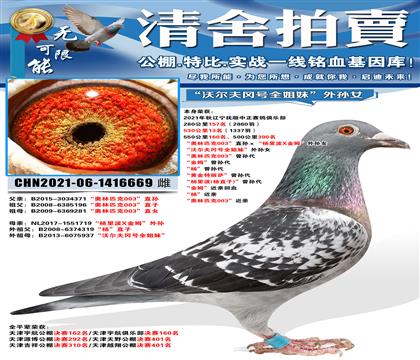 530����13����1337�𣩡��ֶ���Ժ�ȫ���á�����Ů ��