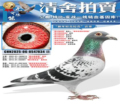 ��ͼ��˹˧�硱ֱ���������������˻�Ѫ�� ��ͼ��˹˧��464