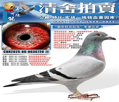 ������������ˡ���Ѫ�������ᳬ�������ˡ���Ѫ �������Ĺظ���