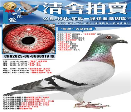 ��³�ϡ�����ֱ������Ͽ�����¡�ֱ��Ů �����롰³�ϡ������