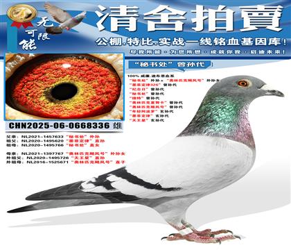 �����鴦�������������ƥ��쫷�š�����Ů ��ī�ƶ���326��