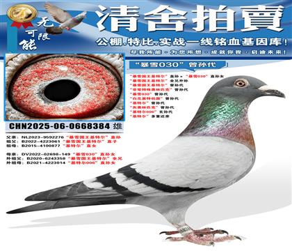 ����ѩ�������ض���ֱ�������ѩ030��ֱ��Ů ����ѩ��������