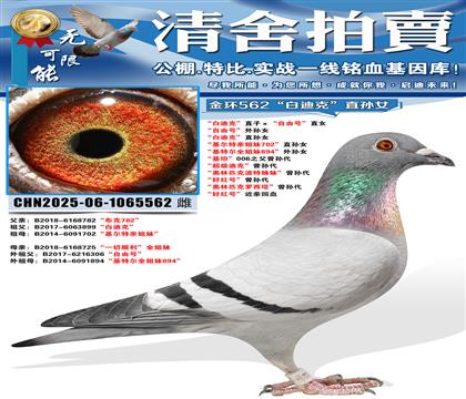 ���׵Ͽˡ�ֱ�ӡ������ɺš�ֱŮ �����ɺš����� ���׵Ͽˡ�ֱ